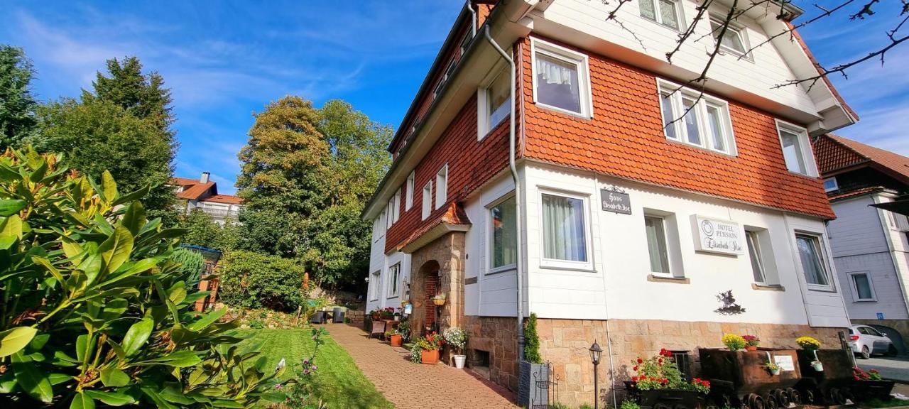 Hotel Elisabeth Ilse Braunlage Εξωτερικό φωτογραφία