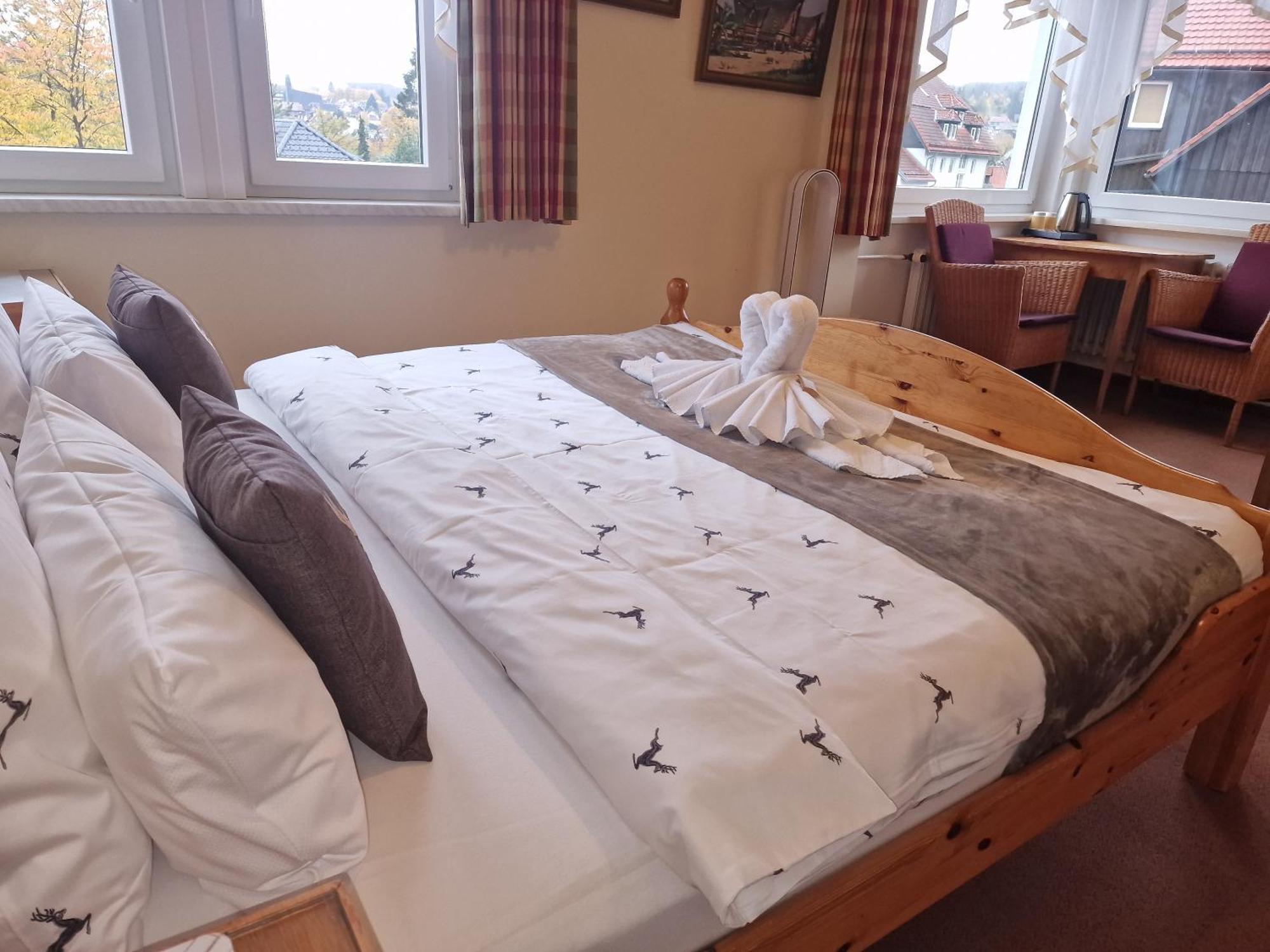 Hotel Elisabeth Ilse Braunlage Εξωτερικό φωτογραφία
