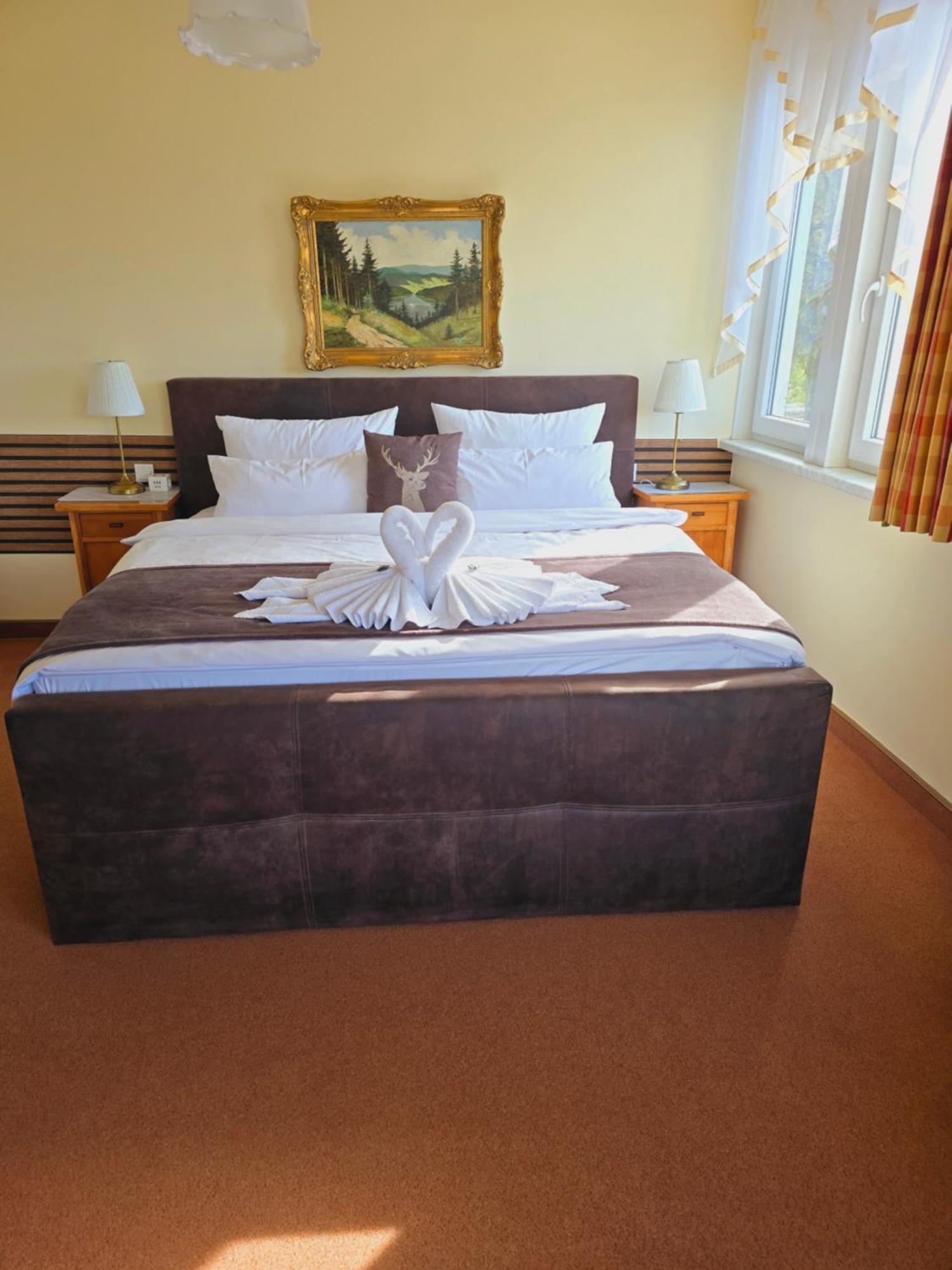 Hotel Elisabeth Ilse Braunlage Εξωτερικό φωτογραφία